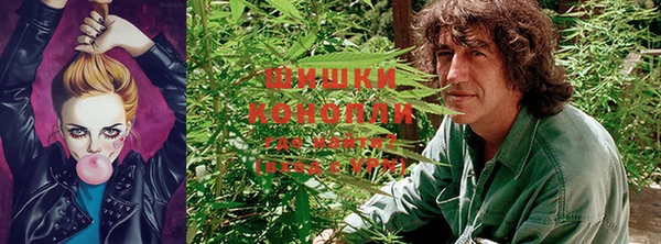 круглые Богородицк