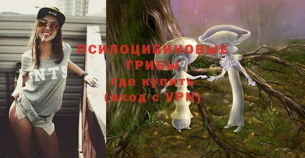 круглые Богородицк