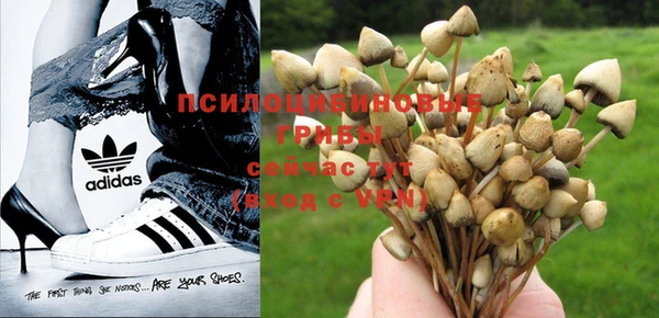 круглые Богородицк