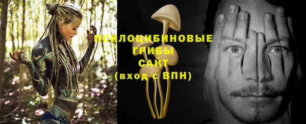 марки nbome Богданович